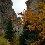 Dayarta * Skhidnytsia