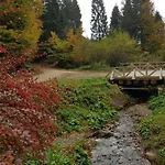 Dayarta * Skhidnytsia