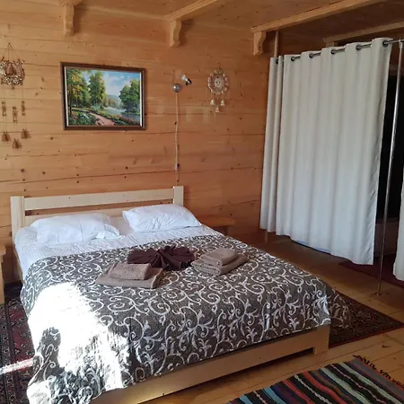 Dayarta Skhidnytsia