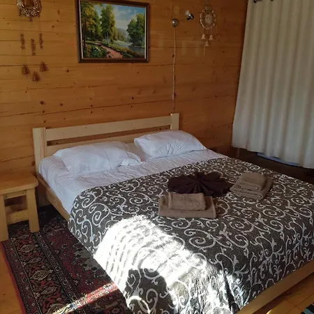 Hotel Dayarta Skhidnytsia