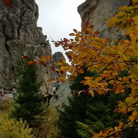 Dayarta * Skhidnytsia