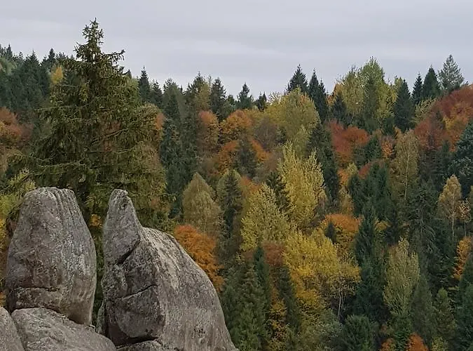 Отель Dayarta *