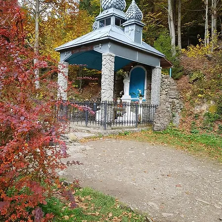 Dayarta * Skhidnytsia
